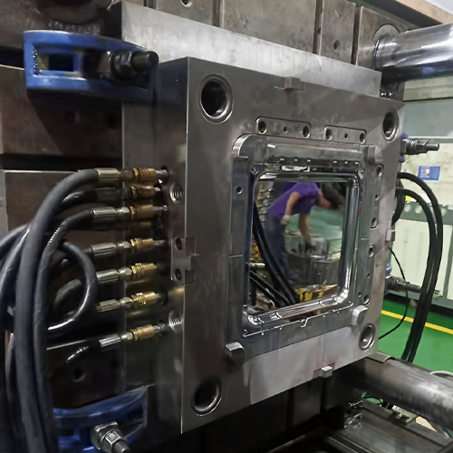 Mold testing